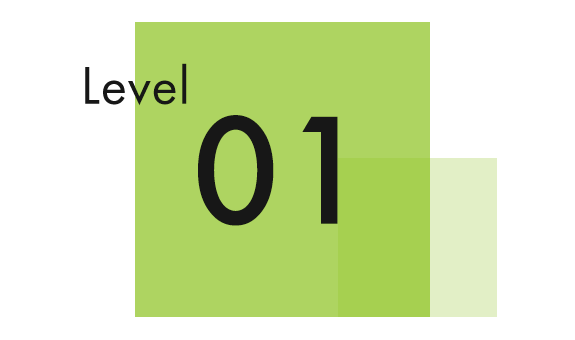 Level1