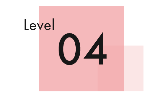 Level4