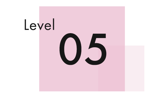 Level5